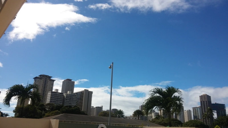 2551123E58B384410DE398