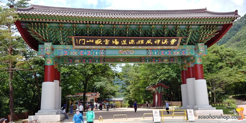 216AED3D595CE6F21E4524