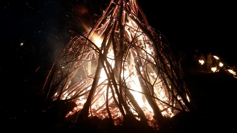 21361F3956C9C26D05DE3E