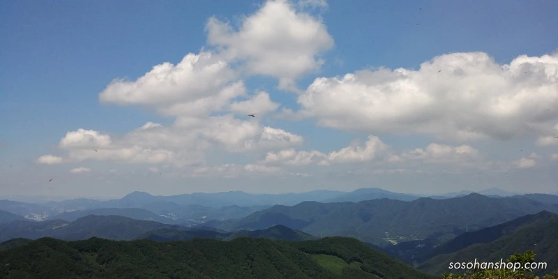 239C4B3359783A97204100