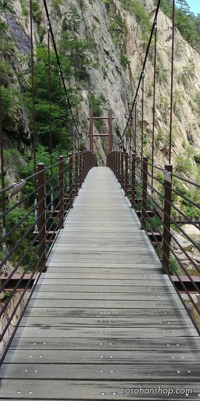 2462FE44595CE7DB37E8F4