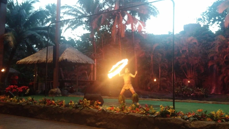 2363DC4058A924A10FA537