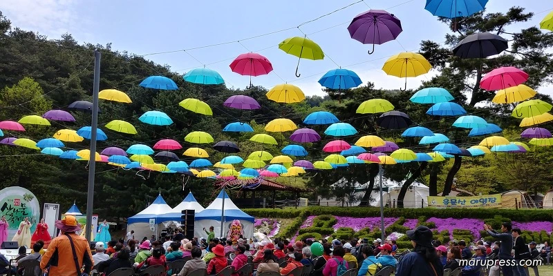 232797455902E79C307CF4