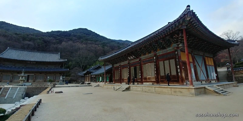 9916FF435A36148A142E96