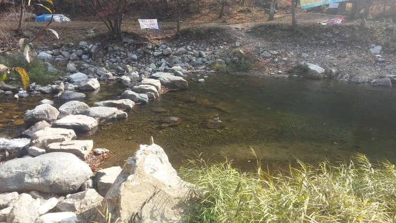 253EDE4D5821C7C4156609