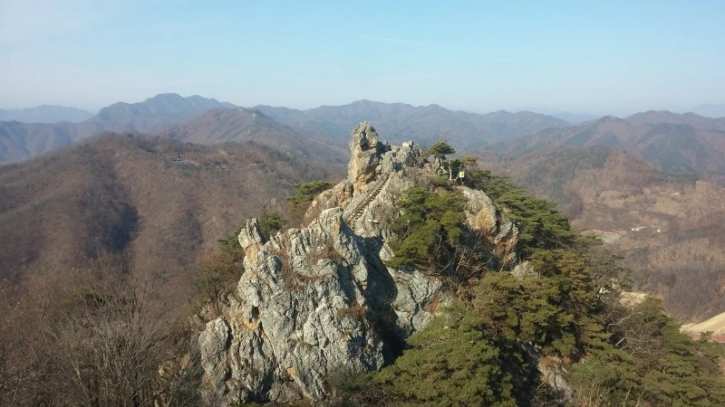 2251024C58359D7D076F84