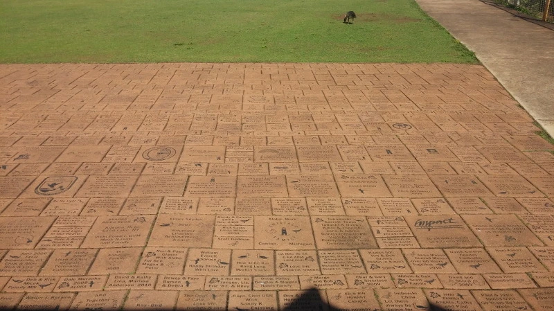 225E1B4358B5298A2AA6BF