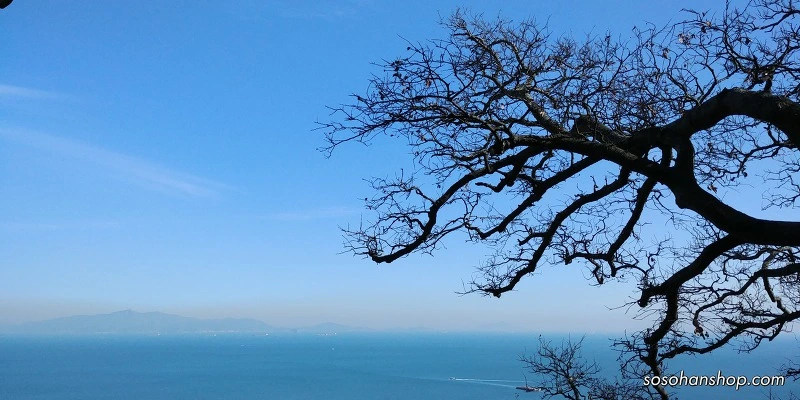 9965FB495A35FAA1327DC0