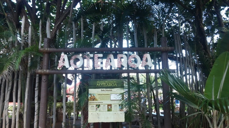 234ECF3E58A9245F0A102C