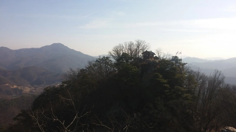 2131975058359DB626CB48