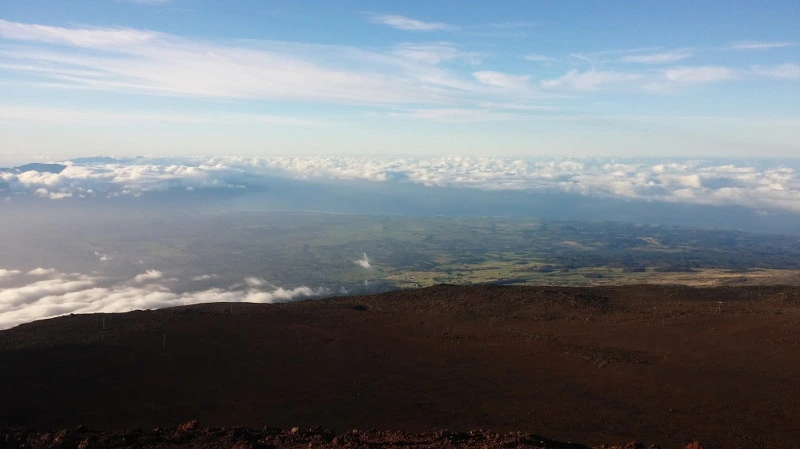 2429A43458ACD78026F459