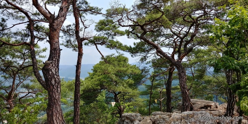 2419843A59536A240A3B91