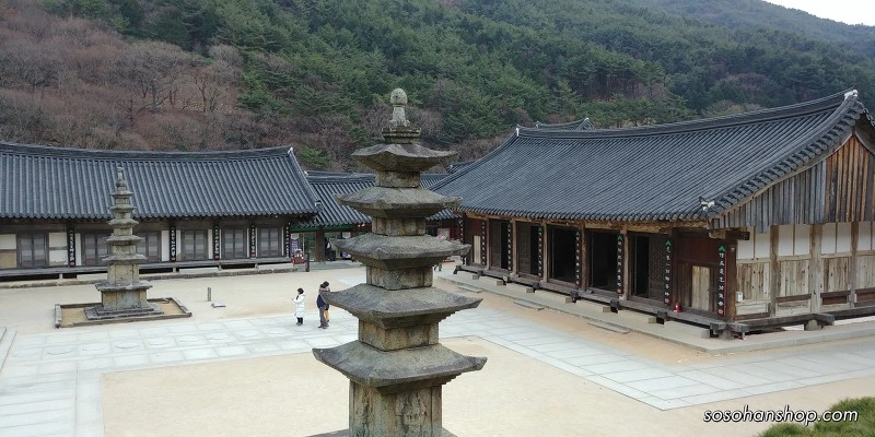 999BAD4D5A3614E20A8EDB