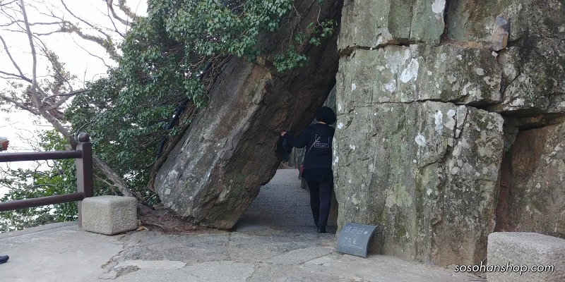 999B9E4D5A35F93C24533D