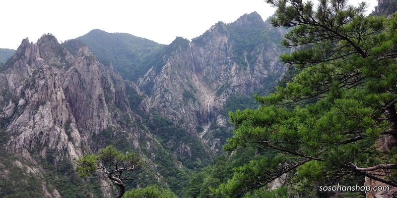 24663E44595CE7612CAE61