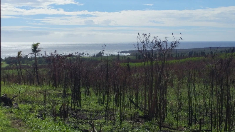 2322073958ABC1C12ABC8E