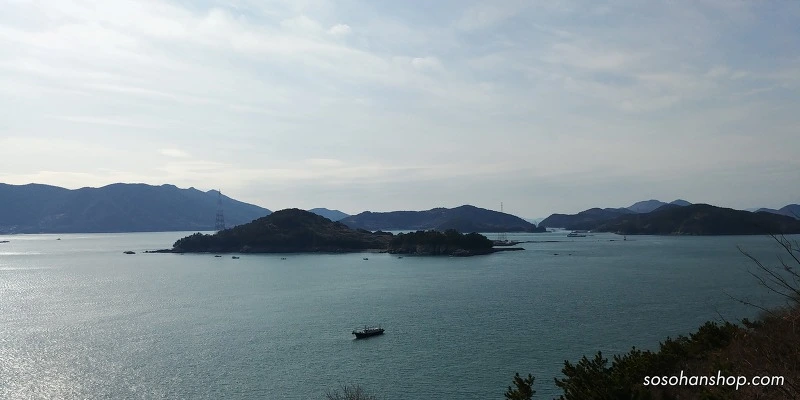 991D43425A35FB3E336890