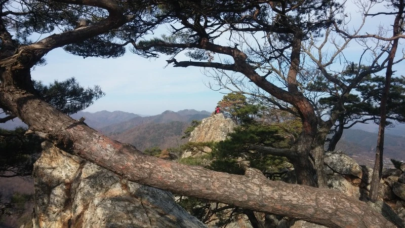 240FAD4A58359E2E0CD264