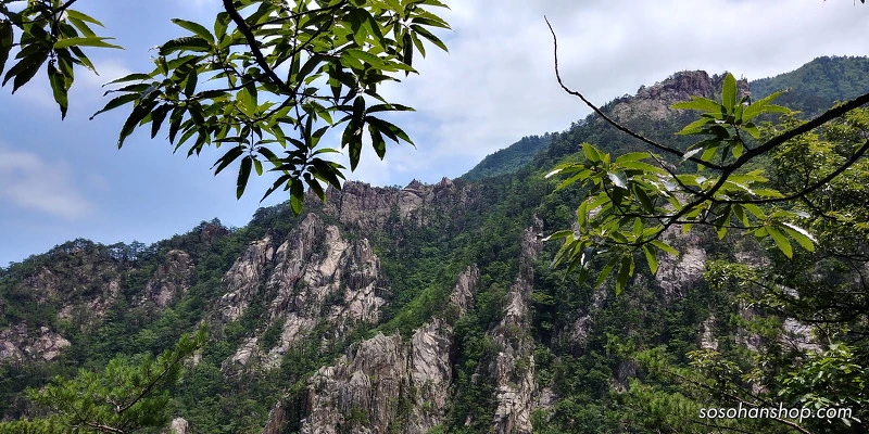 255AE73F595CE75601B035