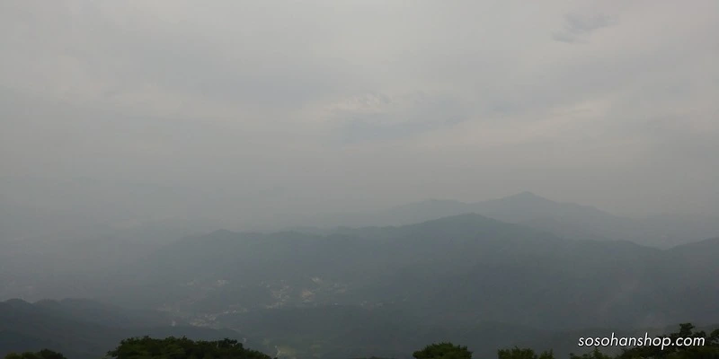 990C4933598BA3870B3713