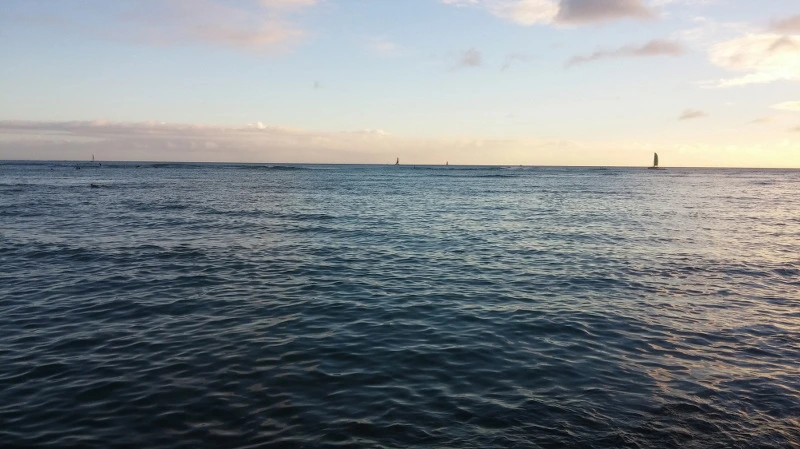 2308434158B3844E2233DE