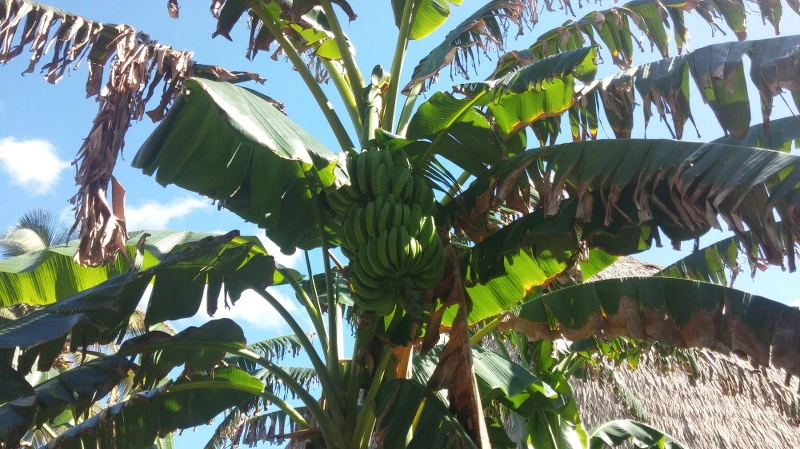 2544EF4358A92458025106