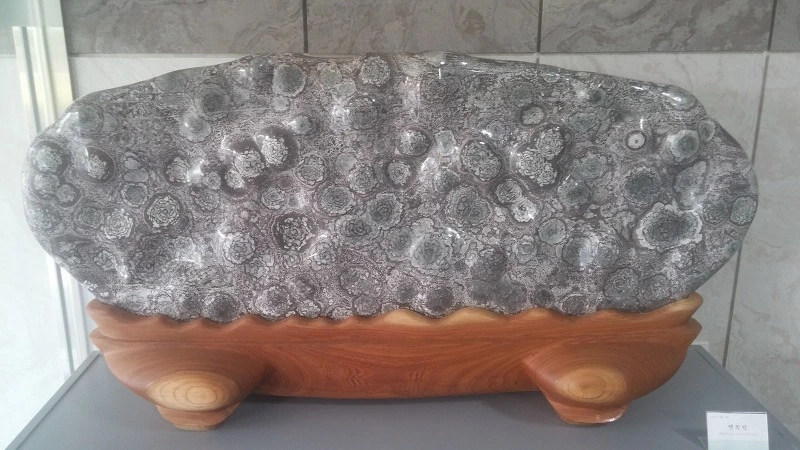 234DF93D57B9170B10ECE8