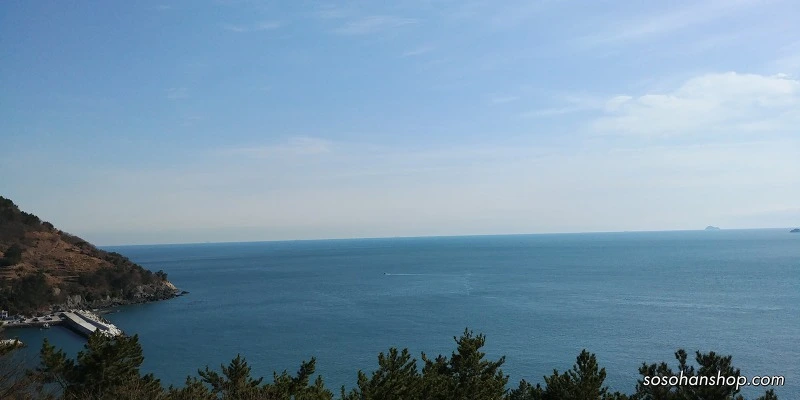 99B0B8475A35FB36302056