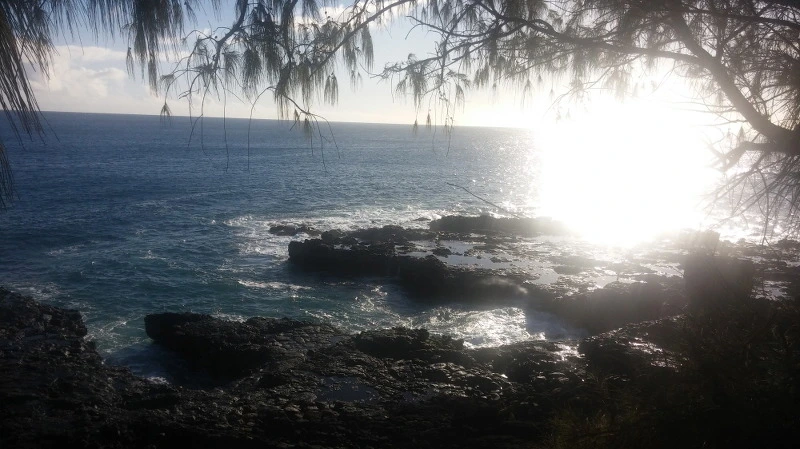 23777F4258B5299004FE02