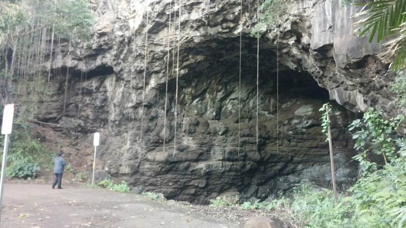 260D263658B529350D4059