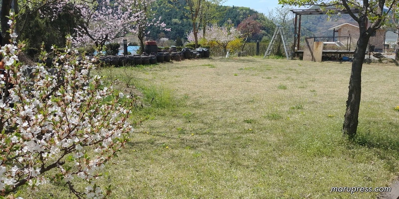 21077E4A58FBF84544F75D