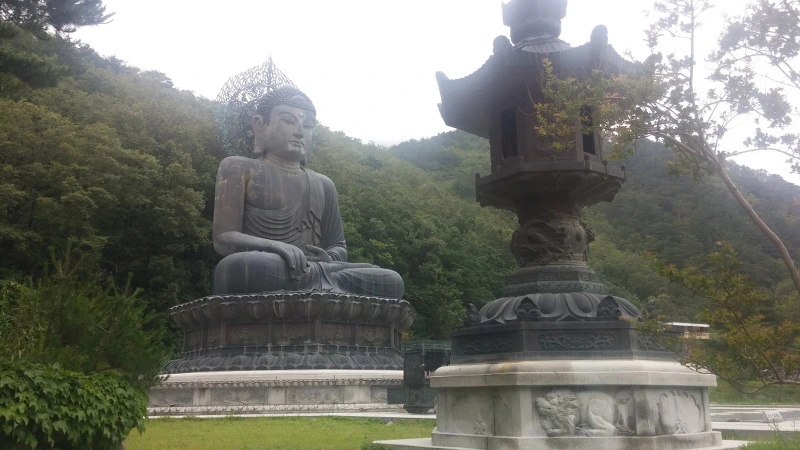 230D6743577F8D9219ECC3