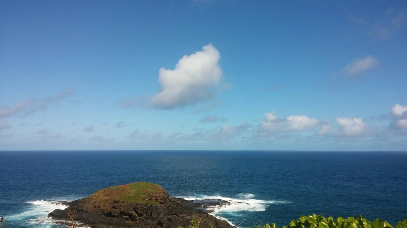 262B4A4358B52984142A4A