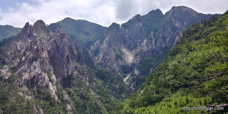 265C7044595CE758083DAD