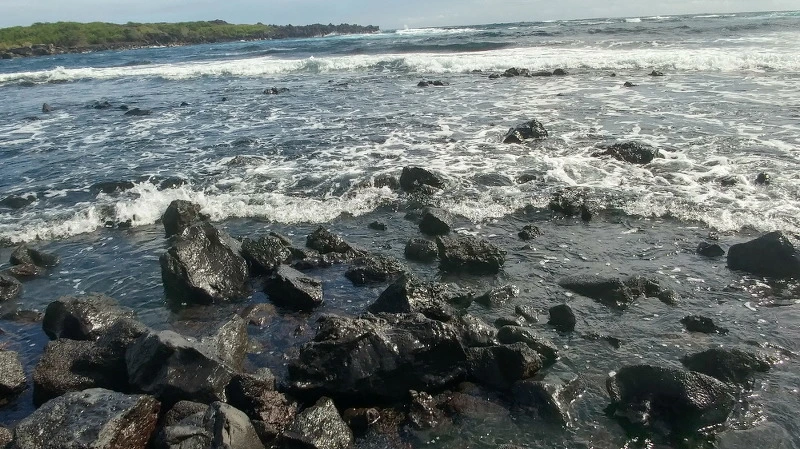 2222F53A58ABC1D00B8C49