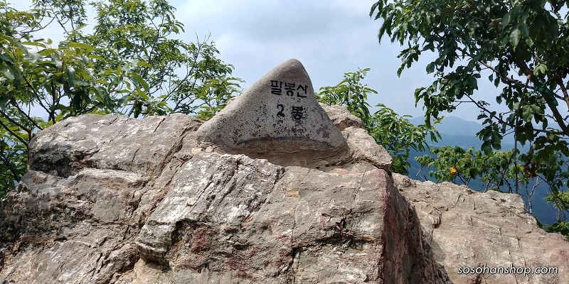 212B943A59536A2824173B