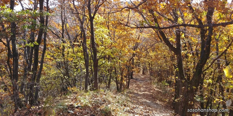 9924D43359EDDE5A214050