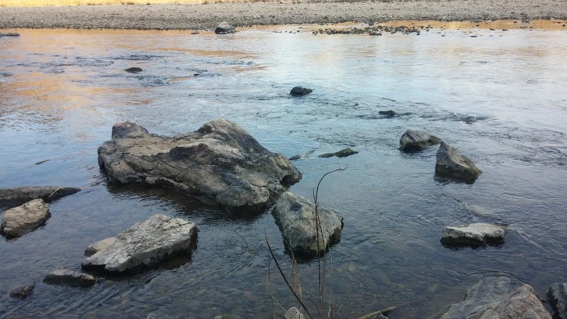 25417C4C58359E6D1E7D5B