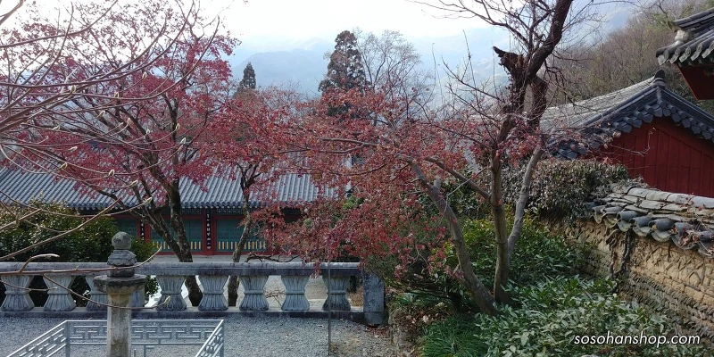 99EDF9485A3613162A17BB