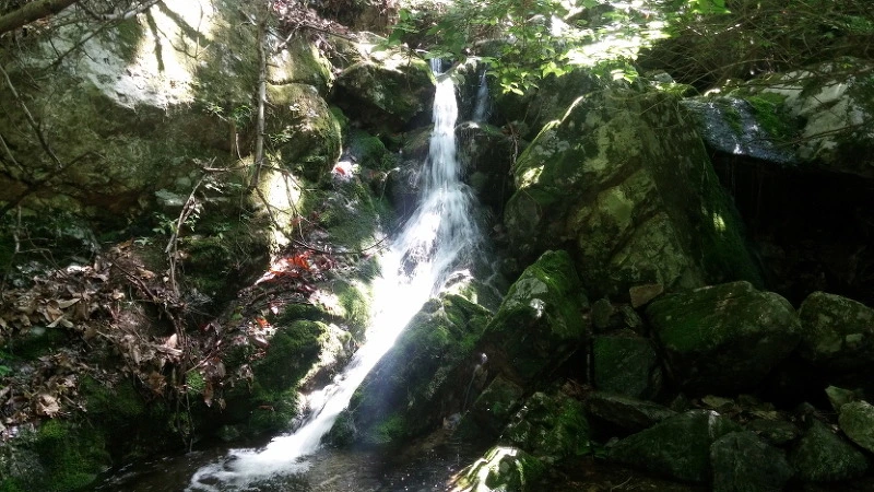 277E844A573D6C5B220A32