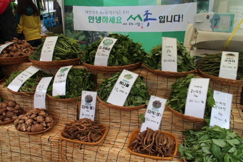 24355F45572C3BF42CA53D