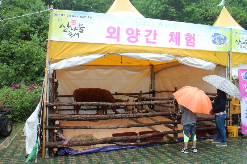 27618E43572C3BFF340DD6