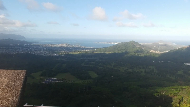 252BD43E58B54DF72F7CC1