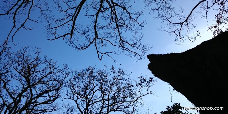 997E1B435A35F9C61F5E12