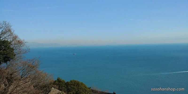 99E9C3485A35FA59232549