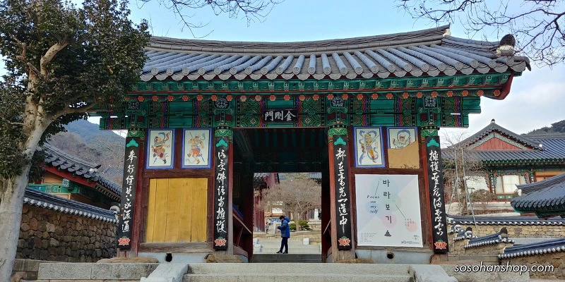 996CBA4F5A3613DC0C6821