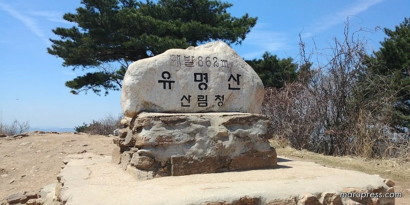 251176385900547C1ED2B9