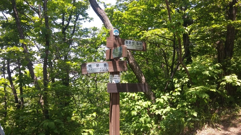 251AEE4C574FFD7031DCAF