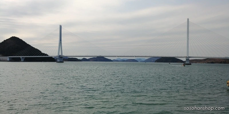 9950A4435A35FB6A039BAD