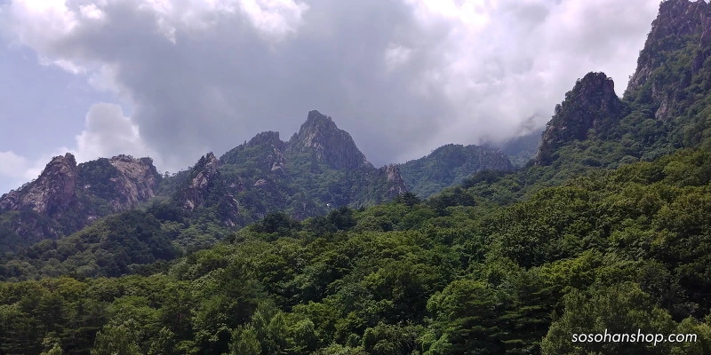 2144EF3D595CE6FB052343